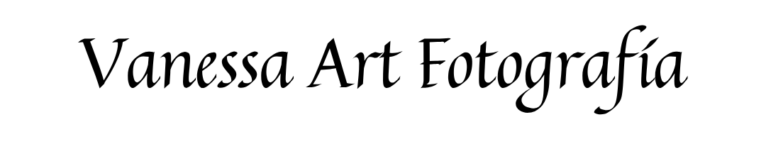 Vanessa ART logo